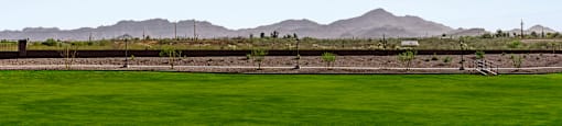 A green field with mountains in the background.