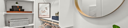 A white closet with a mirror and a plant.