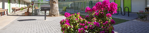 Community courtyard at The Continental Apartments in Phoenix AZ Nov 2020 (8)