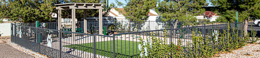 Dog Park at Sky Island