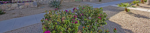 Exterior at The Continental Apartments in Phoenix AZ Nov 2020 (7)