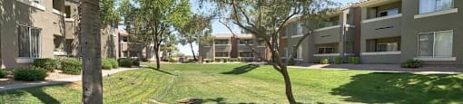 Grass Courtyard at Desert Sage Apartments in Goodyear Arizona