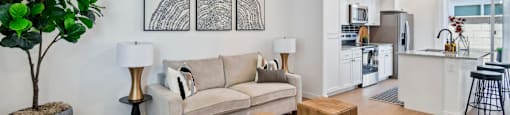 A living room with a couch, a tree, and a ceiling fan.