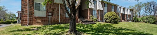 A tree in front of a building with a clear blue sky.