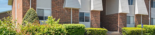 A row of townhouses with a clear blue sky above.