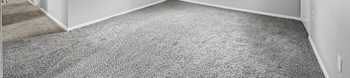 A room with a carpeted floor and white walls.