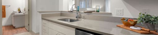 a kitchen with a stainless steel dishwasher and a sink