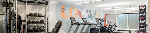 A gym with a variety of equipment including weights and machines.