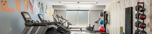 A gym with treadmills, exercise balls, and weights.