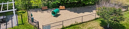 A playground surrounded by trees and a fence.
