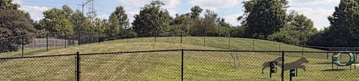 A dog park with a fence and a dog on a swing.