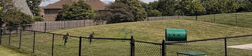 A black fence surrounds a green field.