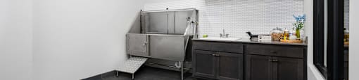 Indoor dog wash & pet spa