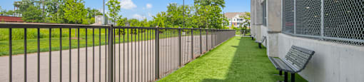 Outdoor dog run 