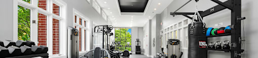 A well-equipped gym with a variety of exercise equipment.