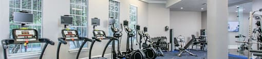 Alvista Metrowest Fitness Center Treadmills