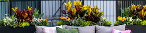 A patio with a grey couch and a white umbrella.