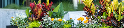 A grey couch with green and pink pillows sits in front of a planter with red and yellow plants.