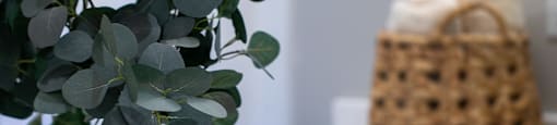 A vase with green leaves sits on a white countertop.