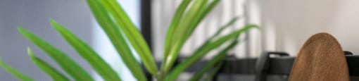 A brown hat is hanging on a plant.