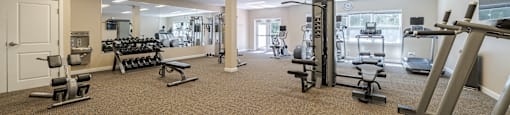 A spacious gym with a variety of equipment including treadmills, weights, and exercise machines.