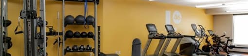 the gym in the condo is equipped with weights and cardio equipment