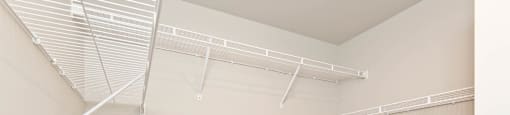 Empty white closet with shelves and a carpeted floor.