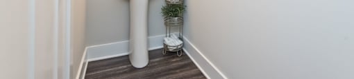 A white pedestal sink with a mirror above it and a small plant on the floor.