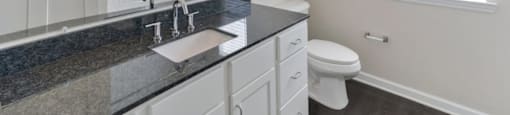 Ashland Farms Bathroom with Spacious, Granite Counters, Large Vanity, and Wood-Style Floors