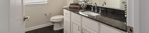 Ashland City, TN Apartments - Ashland Farms - Spacious Bathroom with Wood-Style Flooring, Window, Large Vanity Mirror, Granite Countertop, Sink with Modern Fixtures, and Shower with Tile Backsplash