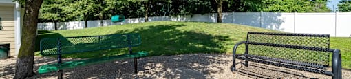 Dog Park