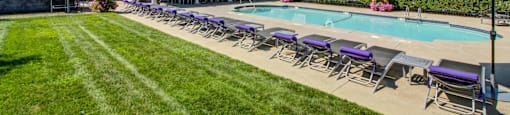 View of pool with purple lounge chairs and lush green grass surrounding. Clubhouse with greenery covered deck can be seen in background.
