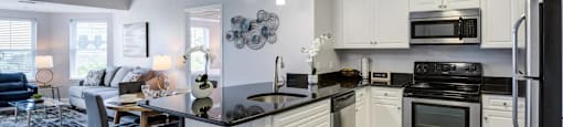 Modern Kitchen Opening to Living Room