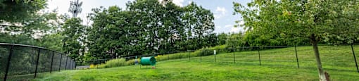 Large, fenced dog park with lush green grass, trees and obstacles for dogs at Summit Place apartments in Methuen, MA.