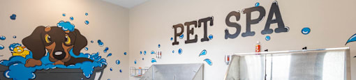 A pet spa with a dog in a bathtub on the wall.