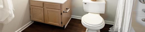 A white toilet sits next to a sink in a bathroom.