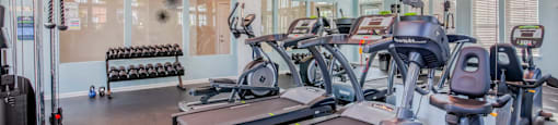 A gym with treadmills, weights, and exercise equipment.