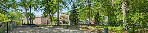 A gravel area surrounded by trees and a fence with a green trash can in the middle.