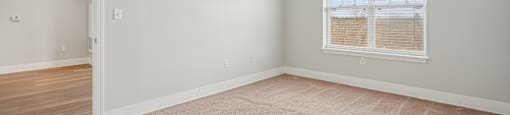 A room with a window and a carpeted floor.