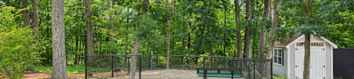 A backyard with a fence and a shed.