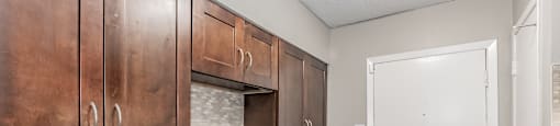 Platinum upgrade kitchen