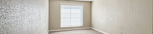 A room with a carpeted floor and a window with blinds.