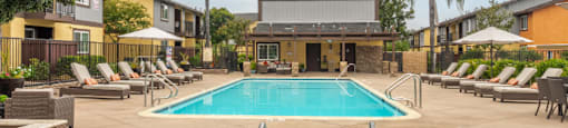 A large outdoor swimming pool surrounded by sun loungers and palm trees.
