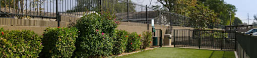 A fenced yard with green grass and bushes.