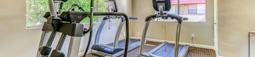A home gym with treadmills and elliptical machines.