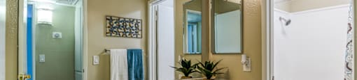 A bathroom with a vanity, mirror, and a plant.