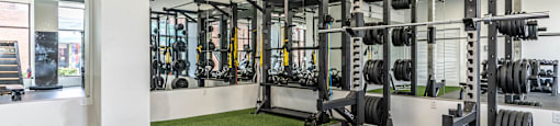 a gym with weights and cardio equipment in a building