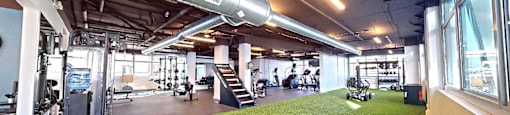 519 Gym: Jacobs ladder