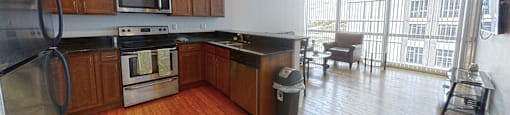 Apt #1202 Entry view