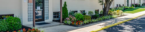 A building with the number 54 on it is surrounded by trees and plants.